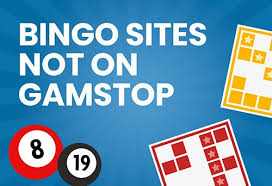 What Bingo Sites Are Not Understanding the Landscape of Online Bingo