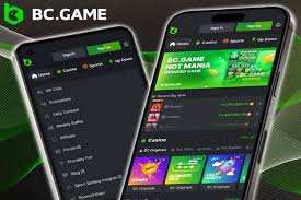 Exploring the Thrilling World of BC.Game Platform
