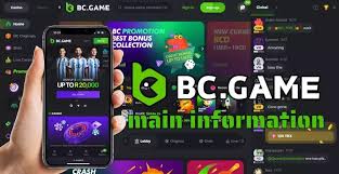 Unlocking the Secrets of the BC.Game Casino Platform